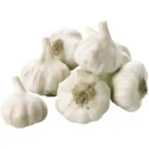 Knoblauch