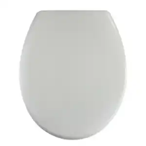 WELLWATER WC-Sitz »Yubing«, Soft-Close, Take-Off, Duroplast