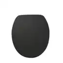 Bild 1 von WELLWATER WC-Sitz, Soft-Close, Take-Off, MDF
