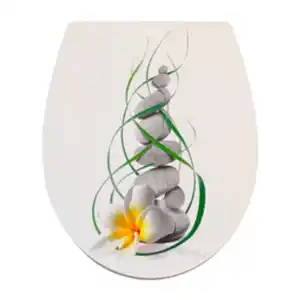 WELLWATER WC-Sitz »Euphonia«, Soft-Close, Take-Off, Thermoplast