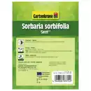 Bild 3 von Gartenkrone Sibirische Fiederspiere, Sorbaria sorbifolia »Sem«, Blätter: grün, Blüten: weiß