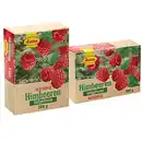 Bild 1 von Himbeeren, tiefgefroren