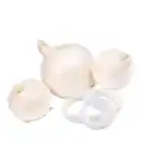 Bild 1 von Weiße Zwiebel süß
