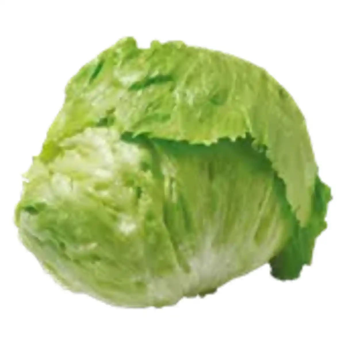 Bild 1 von GO Regio Eisbergsalat