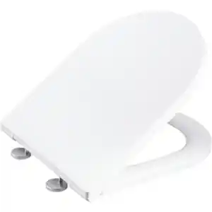 WELLWATER WC-Sitz »Dionos«, Duroplast, mit Absenkautomatik