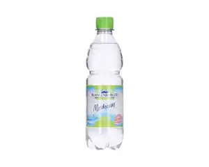Blankenburger Wiesenquell Mineralwasser medium, 500 ml