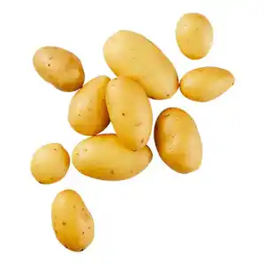 KLEINE SCHÄTZE Speisefrühkartoffeln Drillinge 1 kg