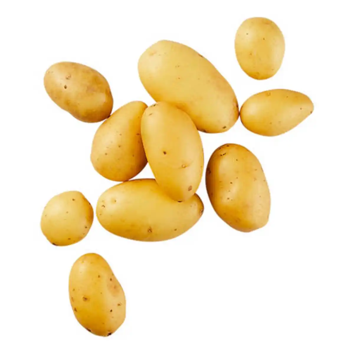 Bild 1 von KLEINE SCHÄTZE Speisefrühkartoffeln Drillinge 1 kg