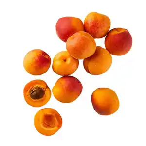 Bio Aprikosen 500g