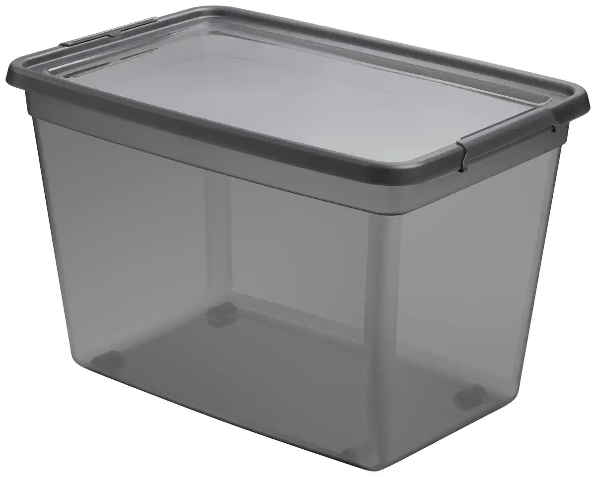 Bild 1 von Aufbewahrungsbox Blacky in Schwarz ca. 80l, Schwarz, Transparent