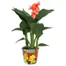 Bild 1 von GARDENLINE Canna Mix