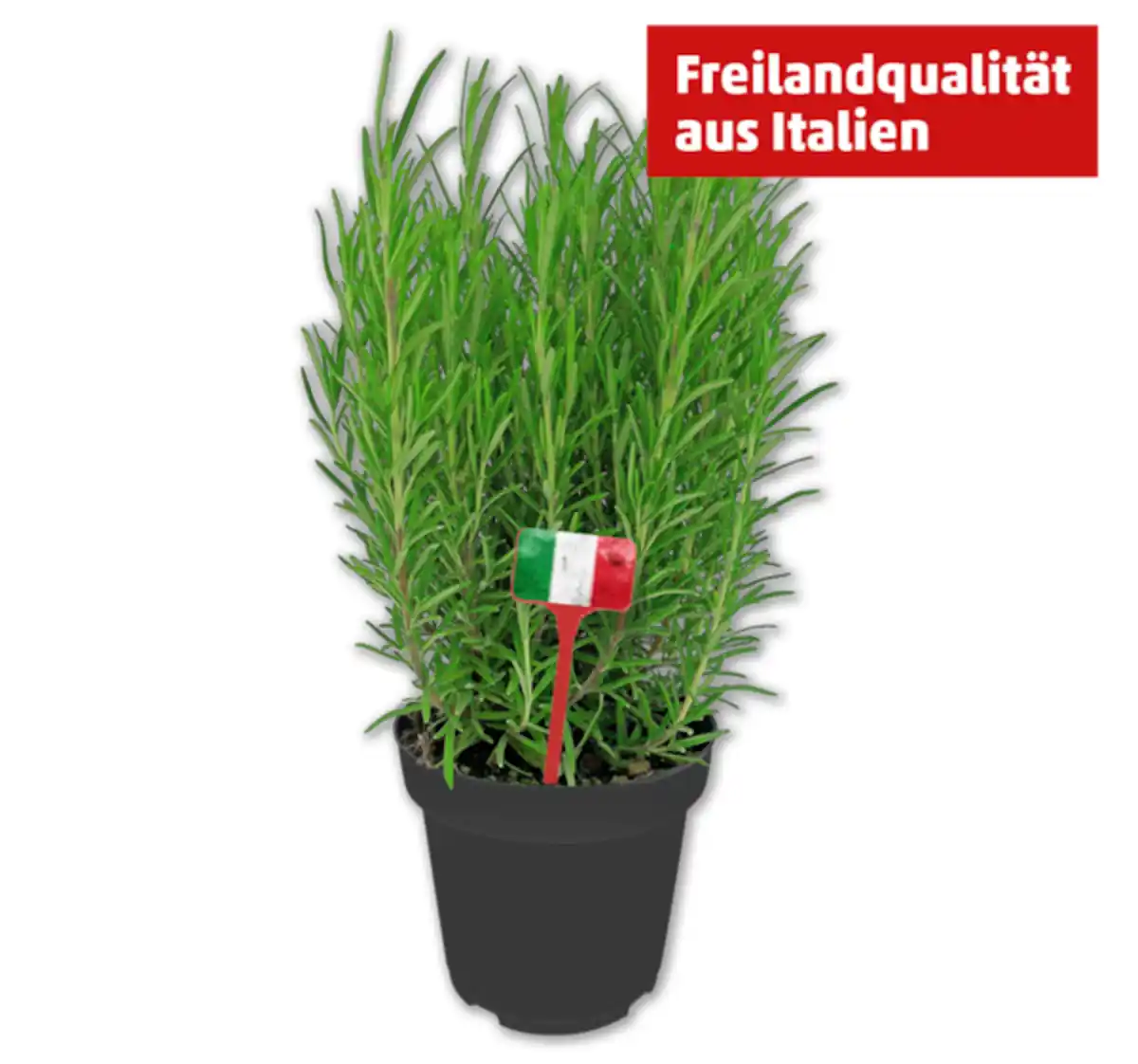 Bild 1 von Italienische Kräuter*
