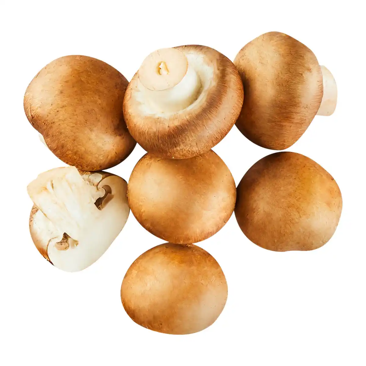 Bild 1 von Große Kulturchampignons braun