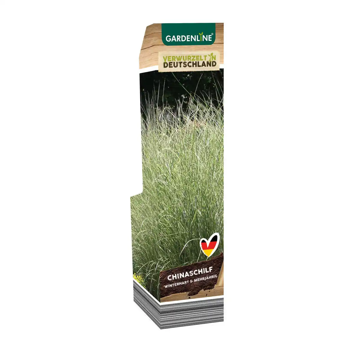 Bild 4 von GARDENLINE Ziergras