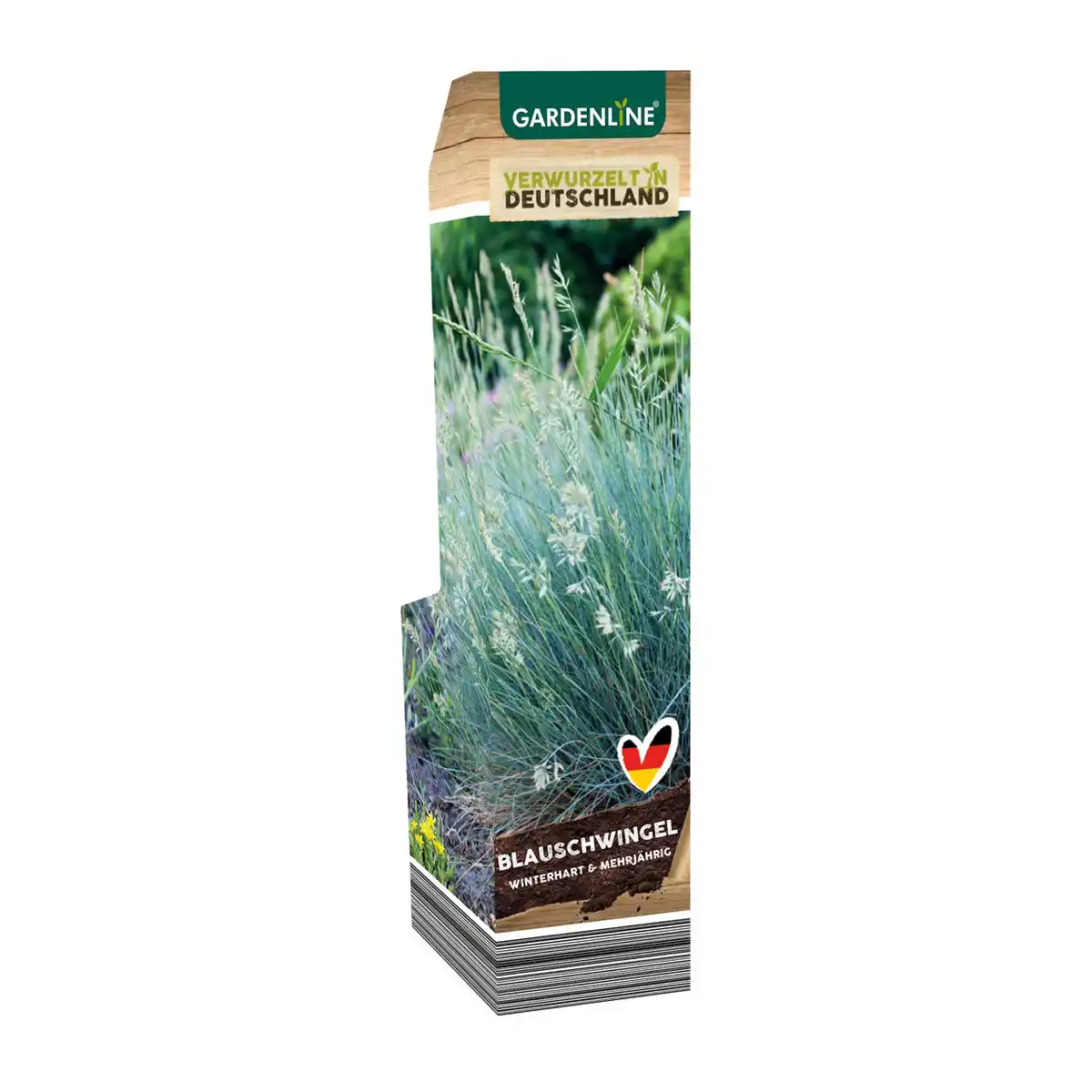 Bild 2 von GARDENLINE Ziergras