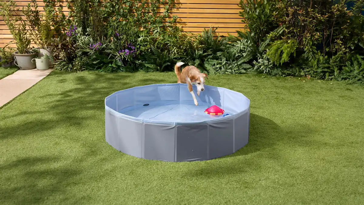 Bild 1 von ROMEO Faltbarer Hundepool
