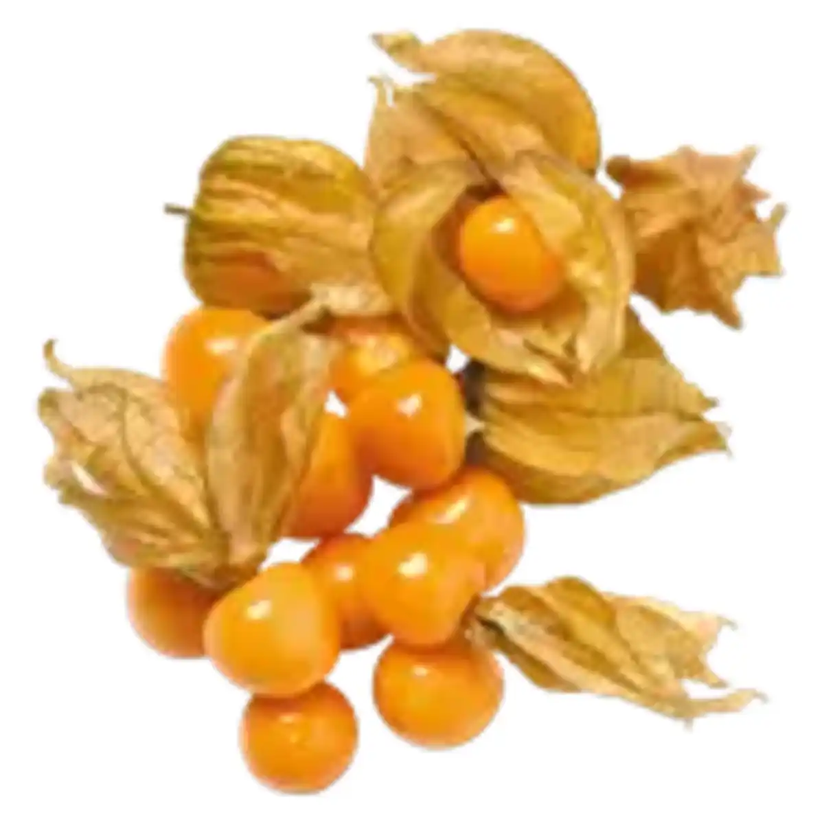 Bild 1 von Physalisbeeren