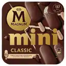 Bild 1 von MAGNUM Mini, Classic 330 ml