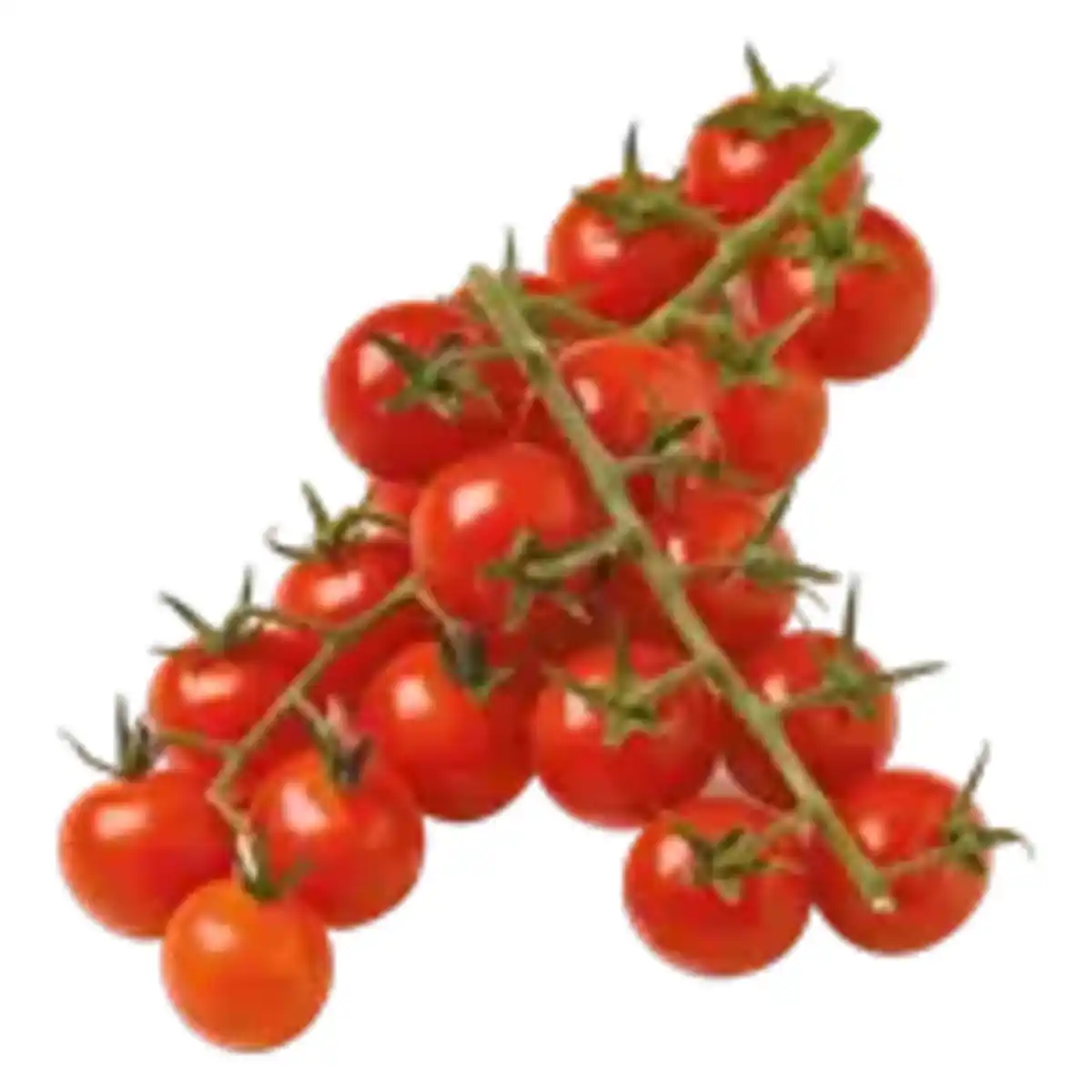 Bild 1 von Cherrytomaten Miss Perfect rot