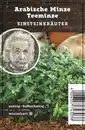 Bild 1 von Einsteinkräuter - arabische Minze 12 cm Topf