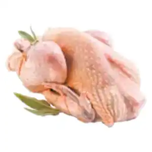 Frisches spanisches Perlhuhn