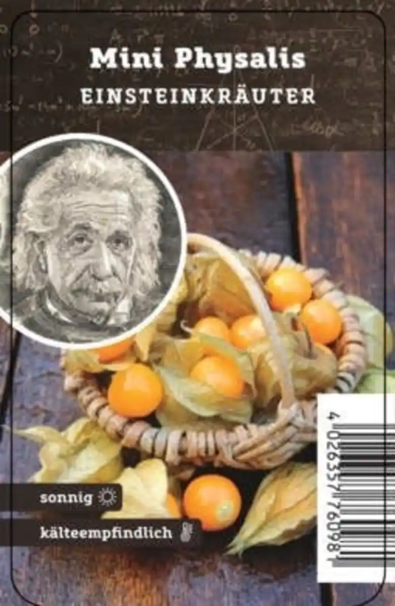Bild 1 von Einsteinkräuter - Physalis 12 cm Topf