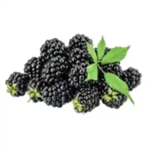 Brombeeren