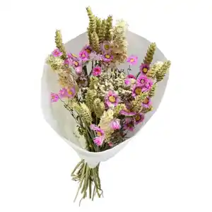 GARDENLINE Trockenblumen Bouquet Loose Fit Karen