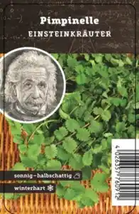 Einsteinkräuter Pimpenelle 12 cm Topf