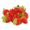 Bild 1 von GO Regio Deutsche Erdbeeren
