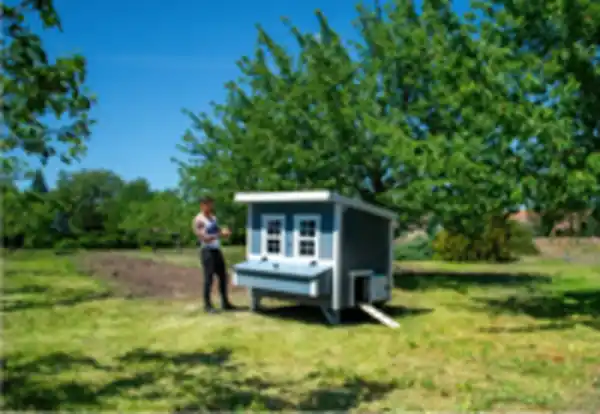 Bild 2 von Großer Hühnerstall EZ Chicken Home 2,85m² Grau hergestellt in EU