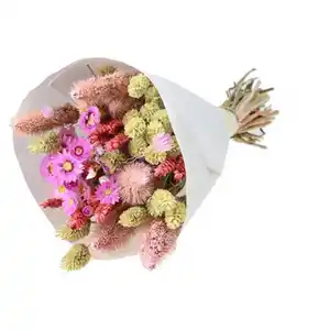 GARDENLINE Trockenblumen Bouquet Smart Coco