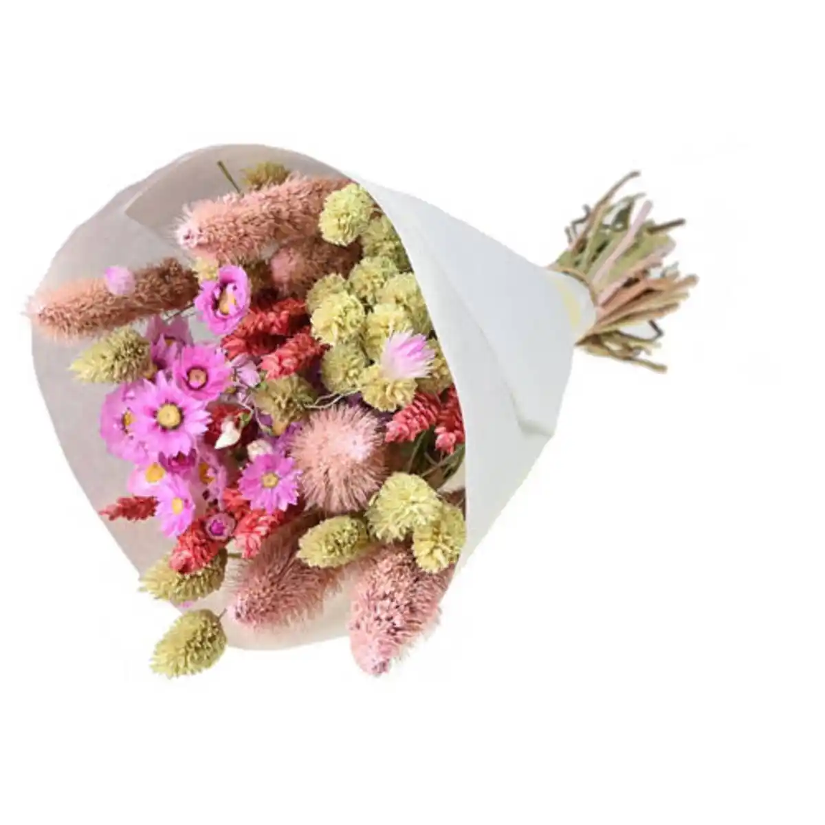 Bild 1 von GARDENLINE Trockenblumen Bouquet Smart Coco