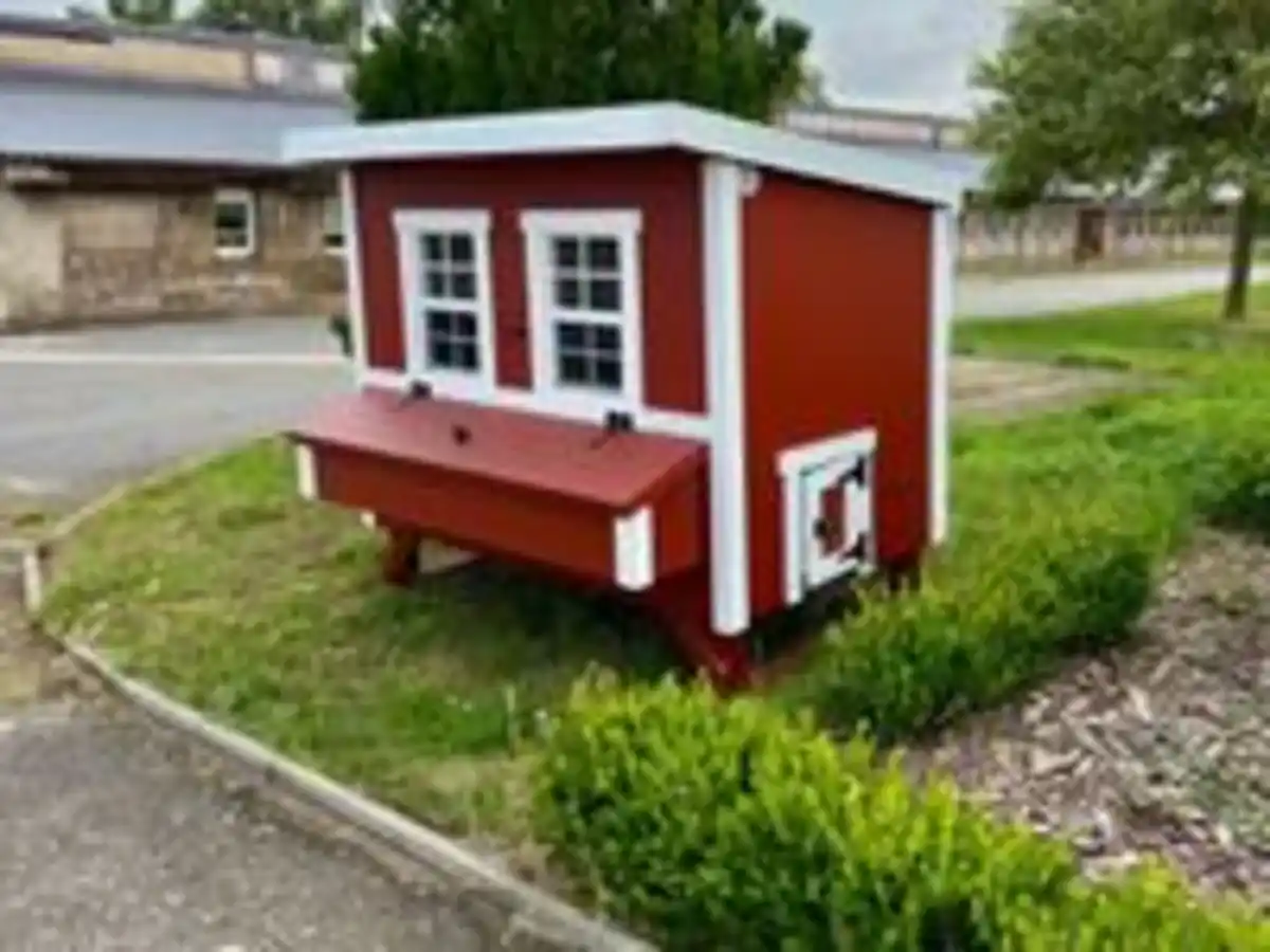 Bild 4 von Großer Hühnerstall EZ Chicken Home 2,85m² Rot hergestellt in EU
