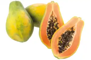 Papaya
