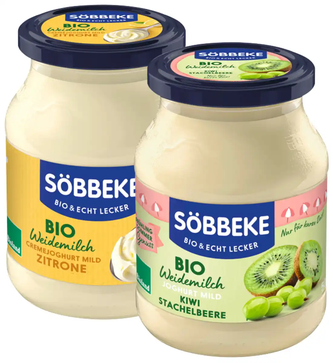 Bild 1 von Frucht- oder Saisonjoghurt