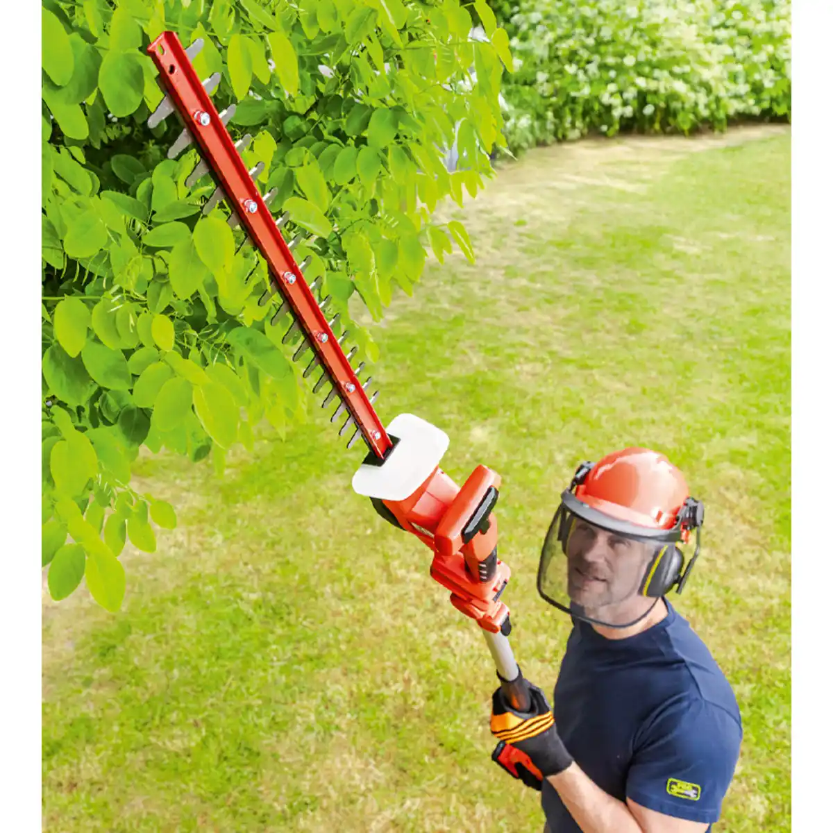 Bild 1 von Walter 2in1 Akku-Heckenschere 12 V