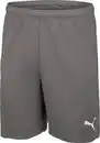 Bild 2 von PUMA Herren-Funktionsshorts