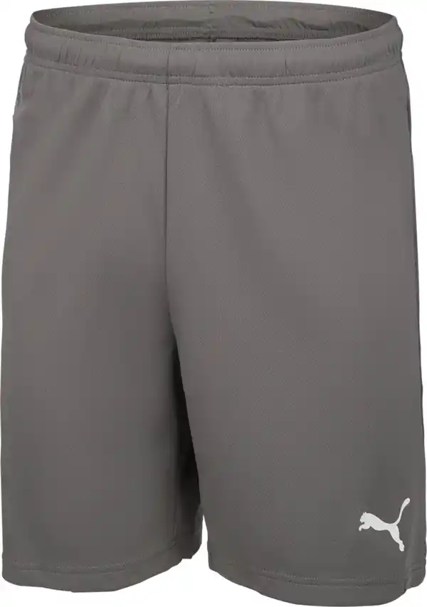 Bild 2 von PUMA Herren-Funktionsshorts