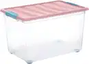 Bild 2 von DOMOPAK LIVING Rollbox »Katla«