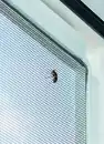 Bild 1 von EASYmaxx Insektenschutzgitter Netz aus Polyester