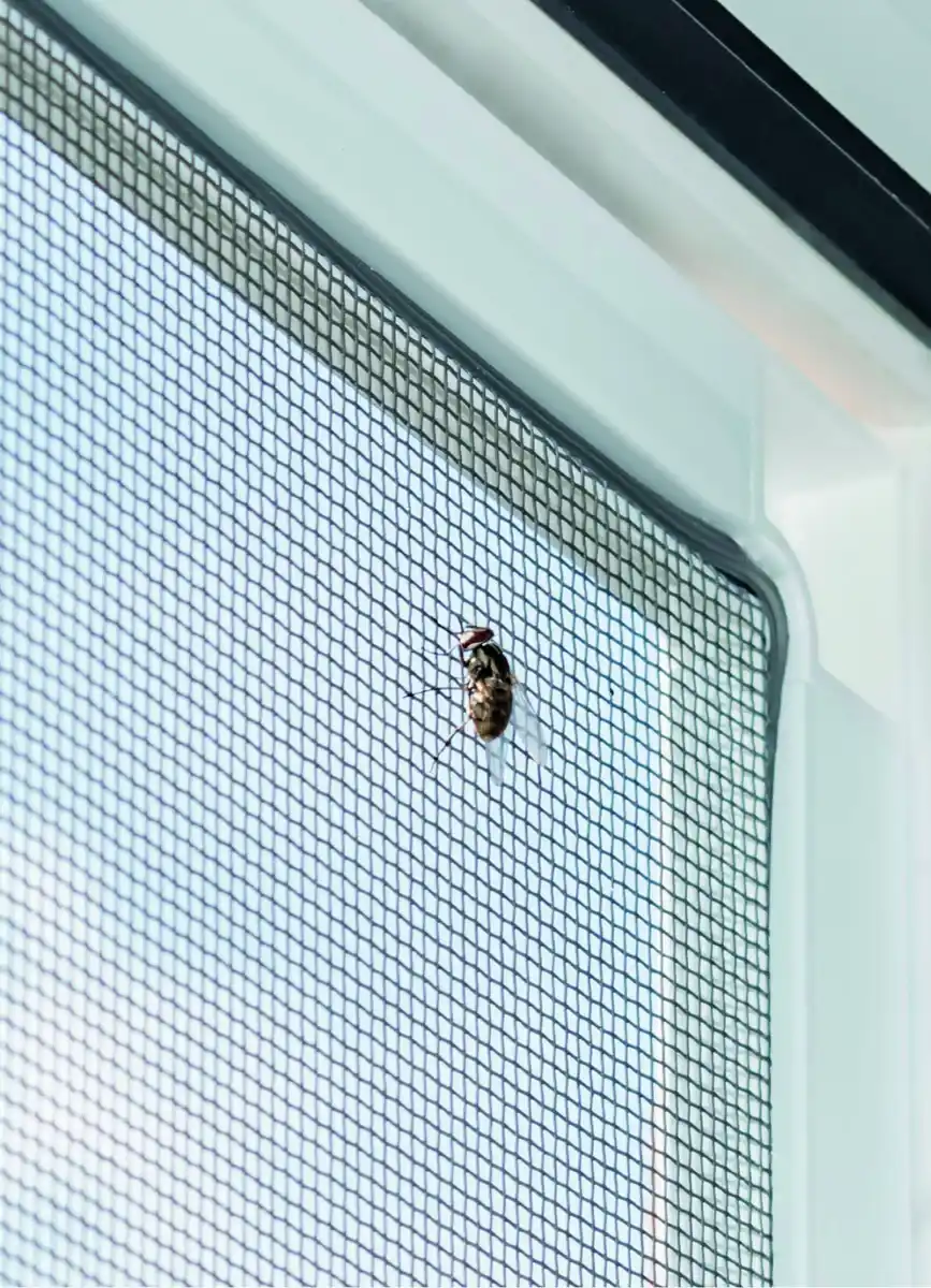 Bild 1 von EASYmaxx Insektenschutzgitter Netz aus Polyester