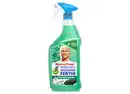 Bild 1 von Meister Proper Spray