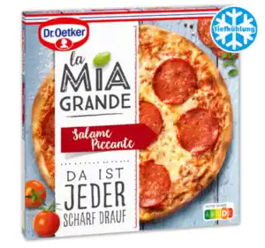 DR. OETKER La Mia Grande