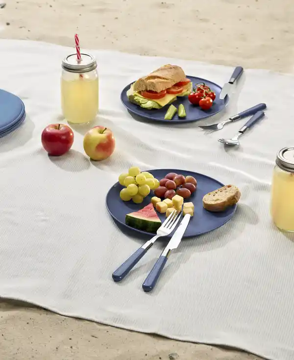 Bild 3 von IDEENWELT Picknick-Set mit Besteck und Teller für 2 blau