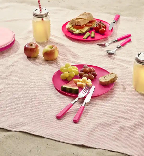 Bild 3 von IDEENWELT Picknick-Set mit Besteck und Teller für 2 pink
