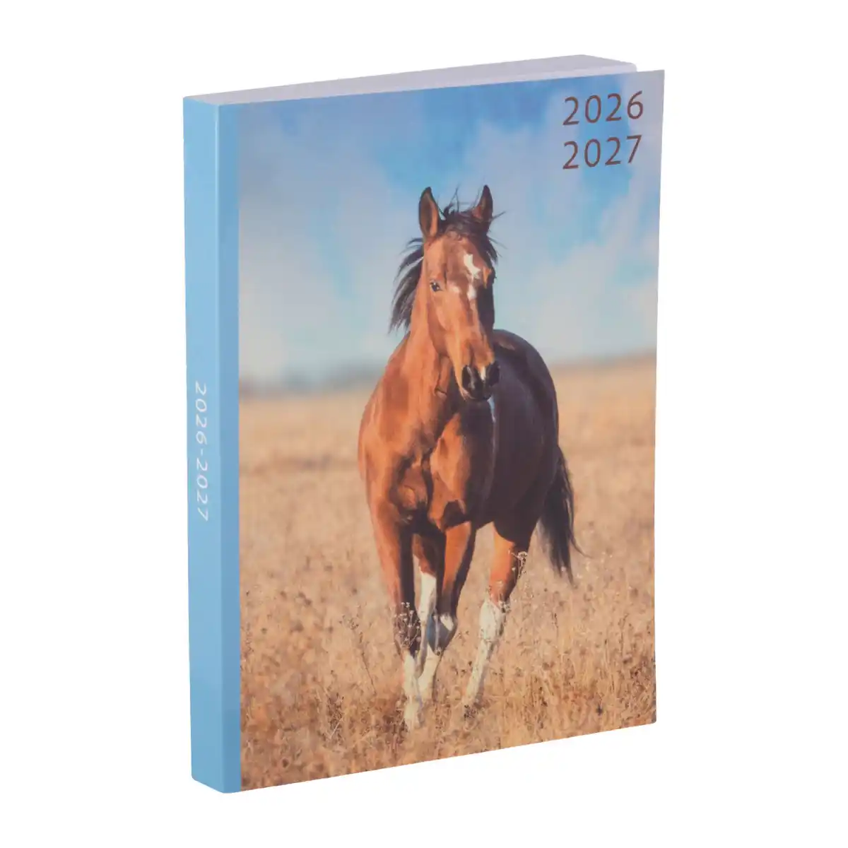 Bild 4 von Schulkalender