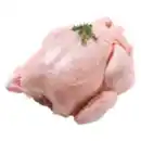 Bild 1 von MEINE FLEISCHEREI Frischer Mecklenburger Broiler