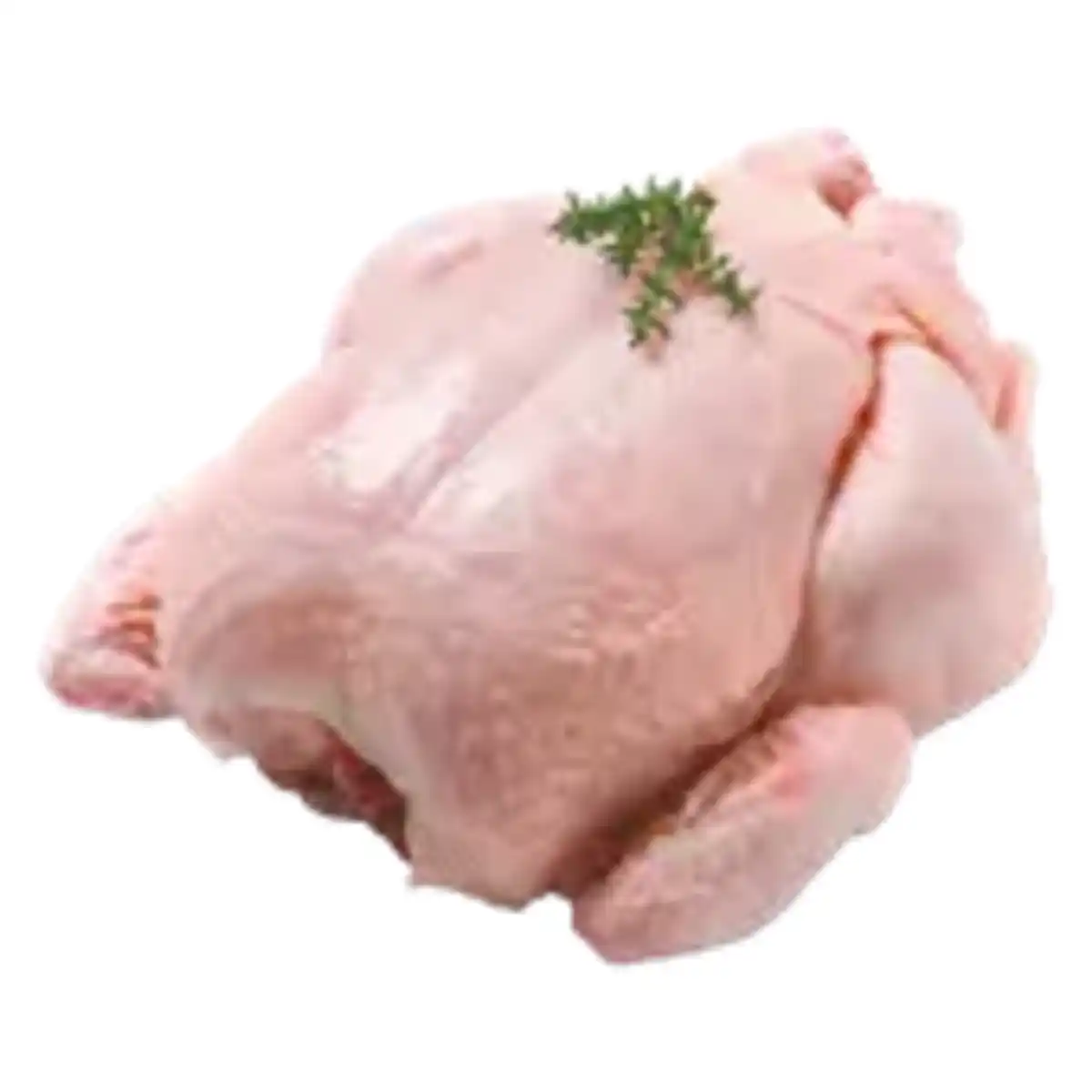 Bild 1 von MEINE FLEISCHEREI Frischer Mecklenburger Broiler
