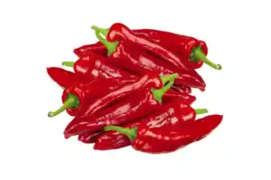 Bio Spitzpaprika rot